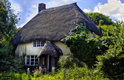 Briantspuddle, Dorset. Wallpaper