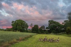 Hopsford Hall Shilton Wallpaper