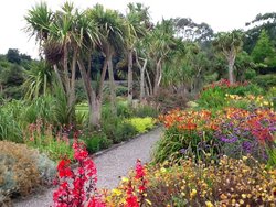 Logan Botanic Gardens, Stranraer, Scottland. Wallpaper