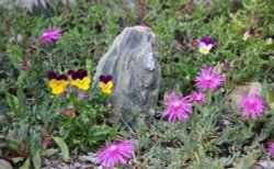 Little Landscape Wallpaper