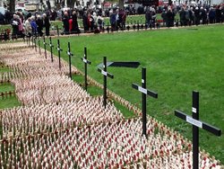 Rememberance Wallpaper