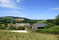 North Chideock Wallpaper