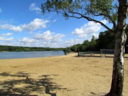 Ruislip Lido Wallpaper