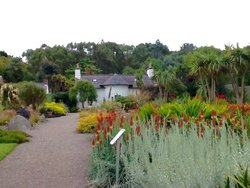 Botanic Gardens .Stanraer