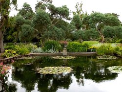 Logan Botanic Gardens. Scotland. Wallpaper