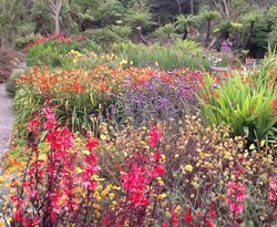 Logan Botanic Gardens, Dumfries & Galloway. Wallpaper