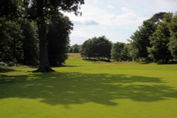 Parkland surrounding Goodwood House Wallpaper