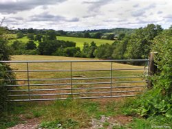 Blackmore Vale Wallpaper