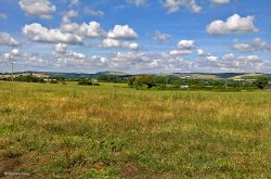 Blackmore Vale Wallpaper