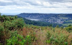 Hardown Hill Wallpaper