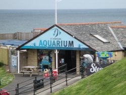 The Aquarium. Wallpaper