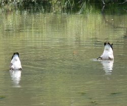 To The Skies Wallpaper