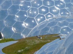 The Eden Project Wallpaper