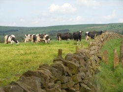 Leek, Staffordshire Wallpaper