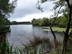 Woodbury Common Wallpaper