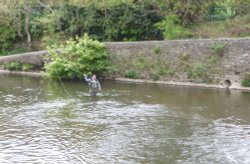 Fisherman in River Derwent Wallpaper