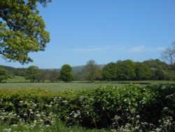 Leek, Staffordshire Wallpaper