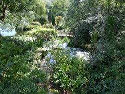 The Japanese Garden in Regent's Park Wallpaper