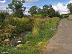 The North Dorset Trailway Wallpaper