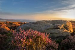 Surprise View. Wallpaper