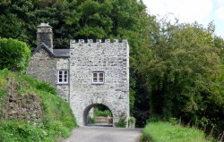 Cotehele Quay Wallpaper
