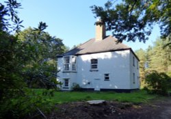 Black Hill Wallpaper