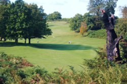 Golf Course Wallpaper