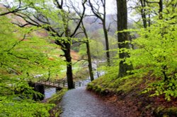 Footpath on rainy day by lake Grasmere Wallpaper