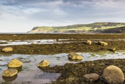 Ravenscar cliffs Wallpaper
