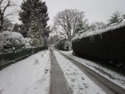 Warfield, Berkshire Wallpaper