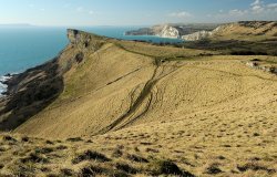 Jurassic Coast Wallpaper
