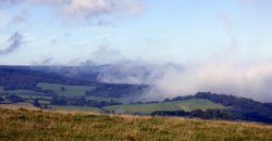 Broomfield Wallpaper