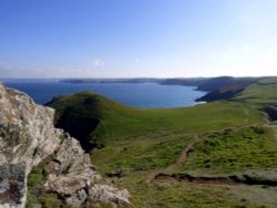 Pentire head Wallpaper