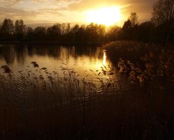 Watermead sunset,Syston, Leicestershire. Wallpaper