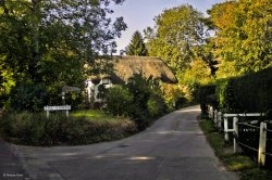 Hilton, Dorset. Wallpaper