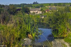 Hilton, Dorset. Wallpaper