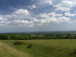 The South Downs of West Sussex Wallpaper