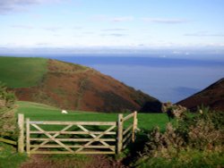 North Hill Wallpaper