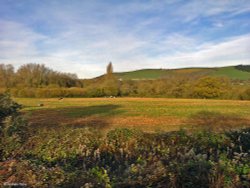 Hambledon Hill, North Dorset. Wallpaper