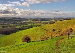 North Dorset Trailway Wallpaper