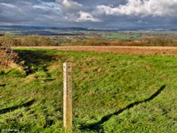 North Dorset Trailway Wallpaper