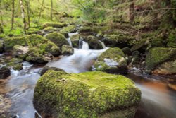 Becka Brook - Dartmoor National Park Wallpaper