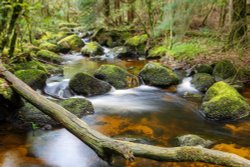 Becka Brook - Dartmoor National Park Wallpaper