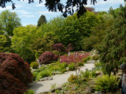 Sizergh Castle gardens Wallpaper