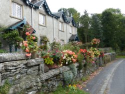 colourful cottage garden near Holker Hall Wallpaper