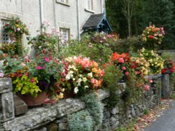 Colourful cottage garden near Holker Hall Wallpaper