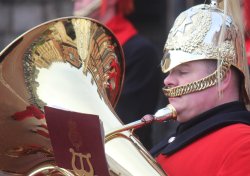 In reflective mood Wallpaper