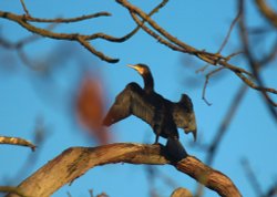 High and lifted up Wallpaper