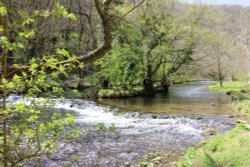 Pastoral trail in Dovedale Ilam Wallpaper