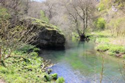 Colorful river and nature at Dove dale Wallpaper